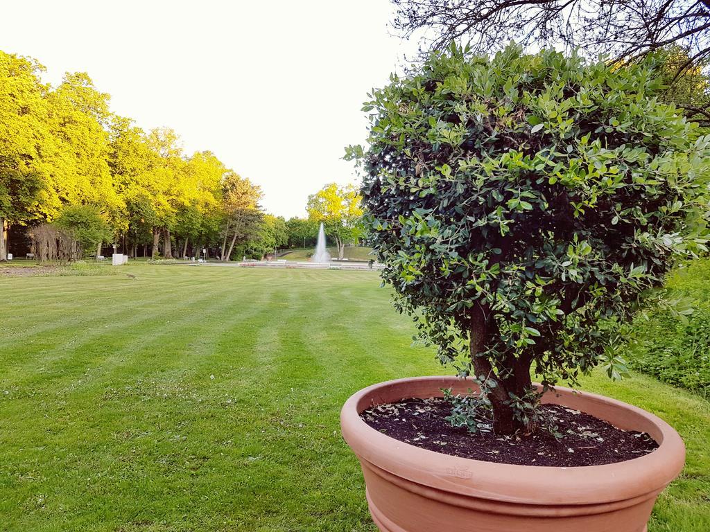 Hotel Garni Goldene Traube Bad Windsheim Zewnętrze zdjęcie